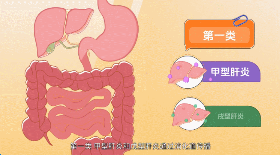 mg动画设计与制作那些事，新手看了也能明白图片