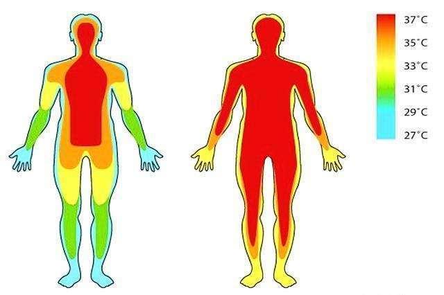 為何人體體溫是37度？動(dòng)畫(huà)制作技術(shù)為你詳細(xì)剖析第1張圖片