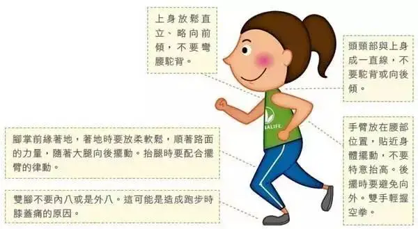 跑步會(huì)不會(huì)導(dǎo)致腿粗？動(dòng)畫科普片更能直觀展現(xiàn)真相！第2張圖片