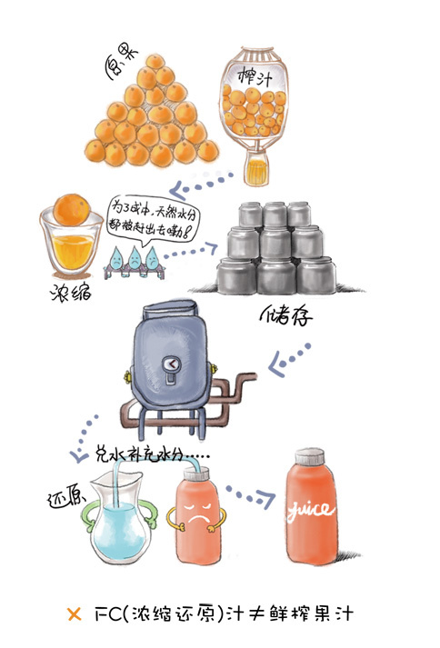 鲜榨果汁比原水果更营养吗？科普题材动画片既科学又好玩第3张图片