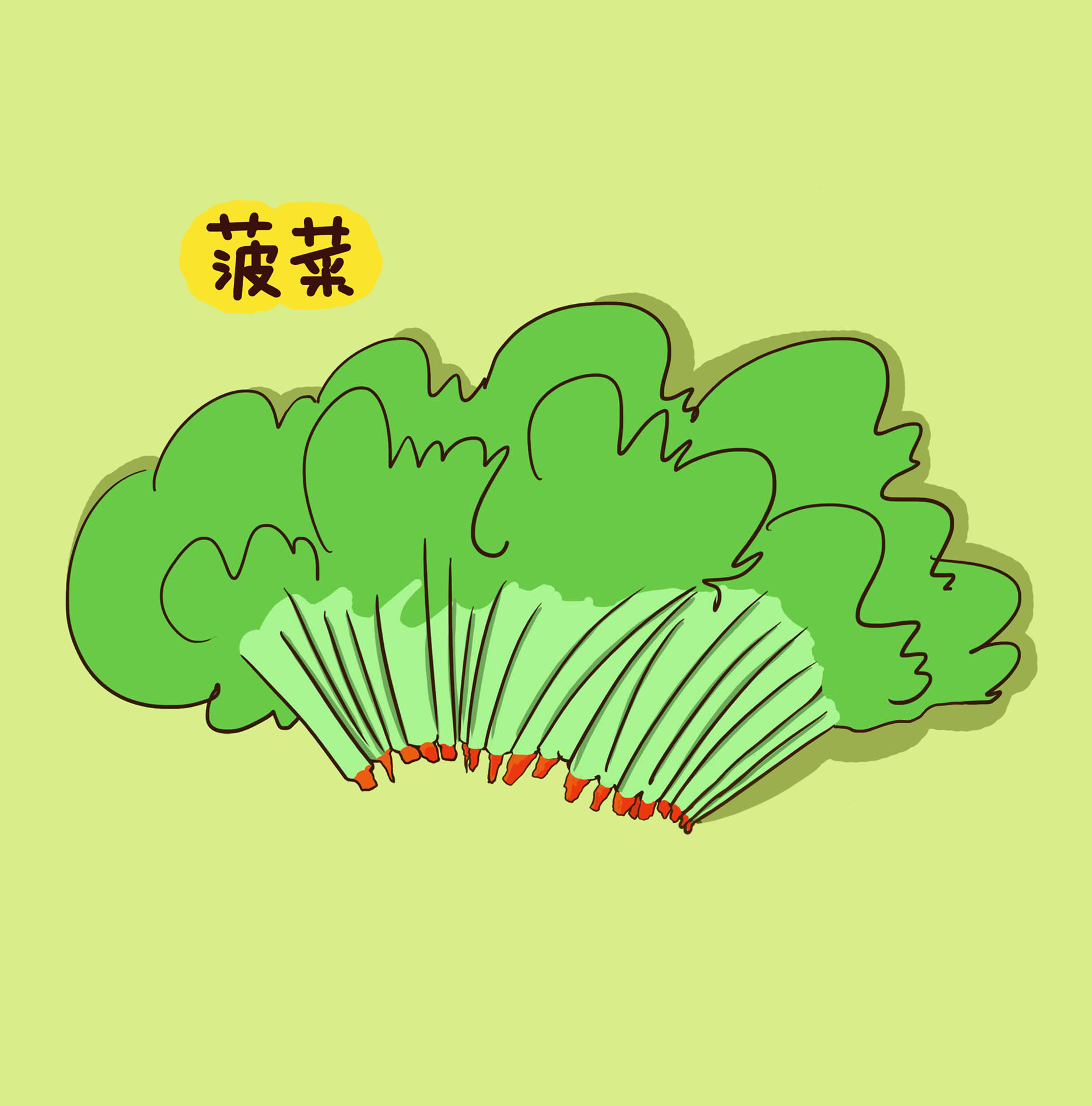 多吃菠菜真的能补铁吗？植物科普动画视频轻松了解真相第1张图片