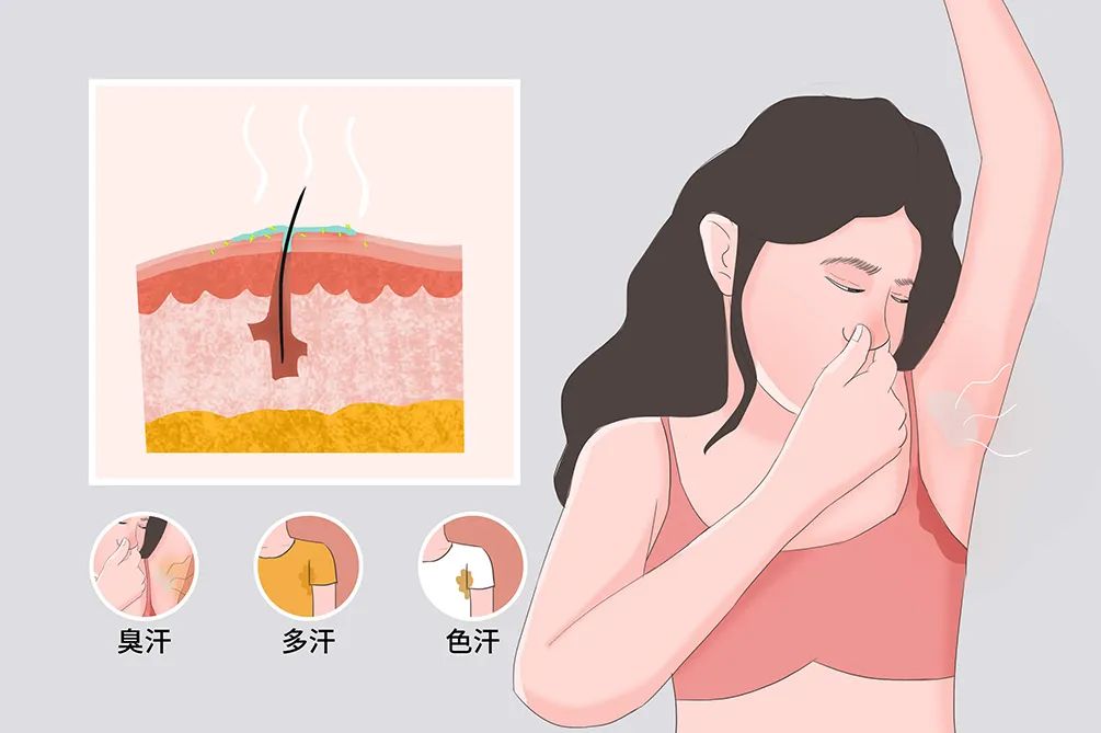 刮腋毛后狐臭會(huì)消失嗎？我們可以用生理科普動(dòng)畫來推廣第1張圖片