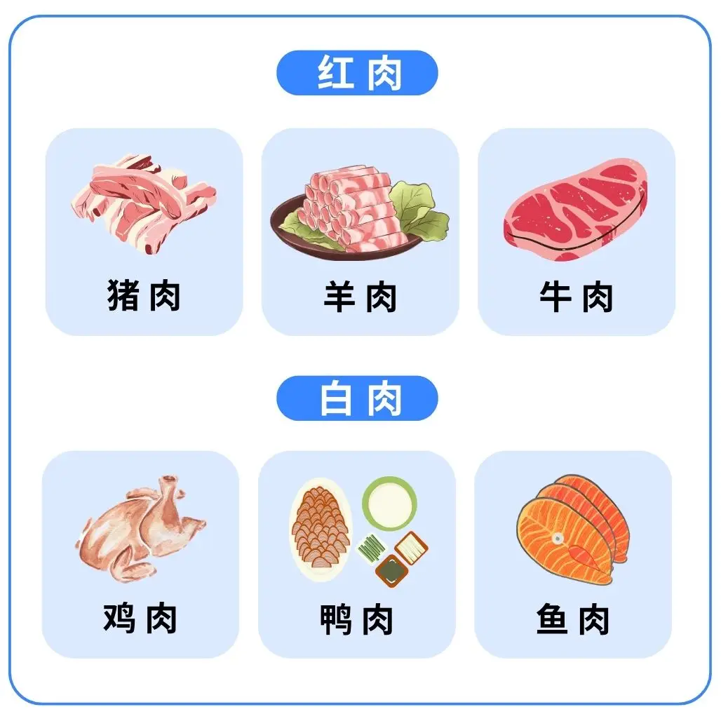 別傻等口渴再喝水了！健康科普動畫制作理解更輕松第2張圖片