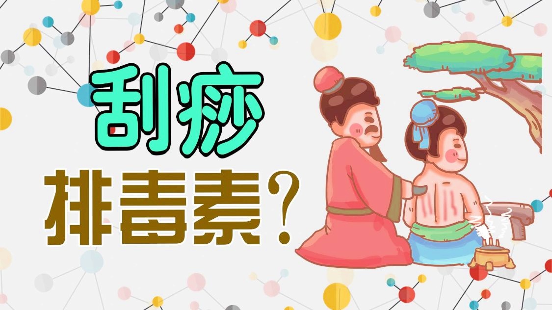 刮痧越痛顏色越深，排毒效果越佳？養(yǎng)生科普動畫輕松了解養(yǎng)生知識