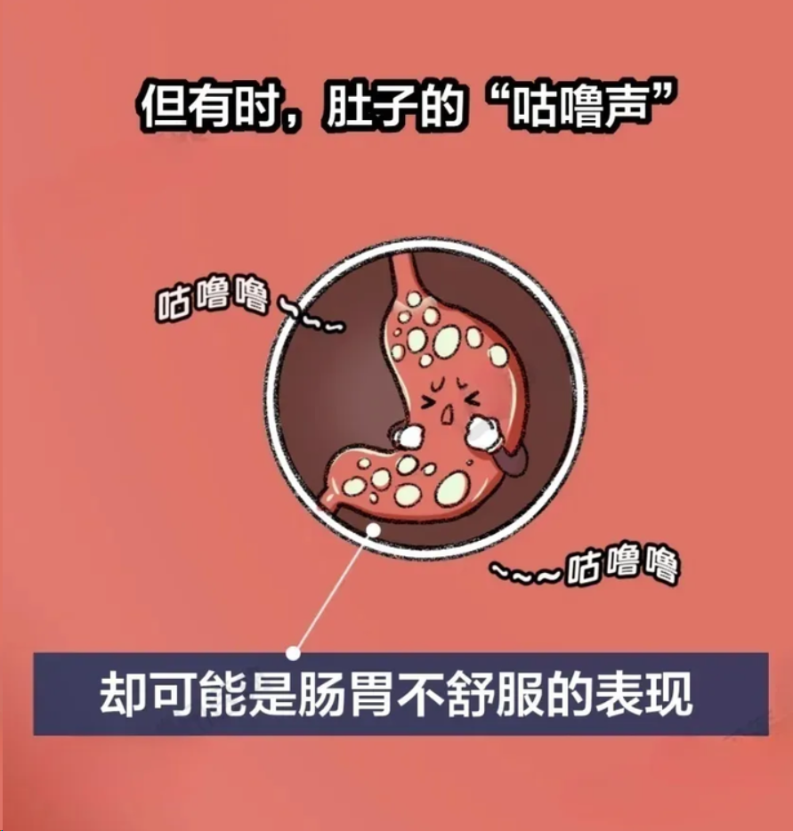 饥饿时肚子为何咕咕叫？用动画制作让科学来说话第3张图片